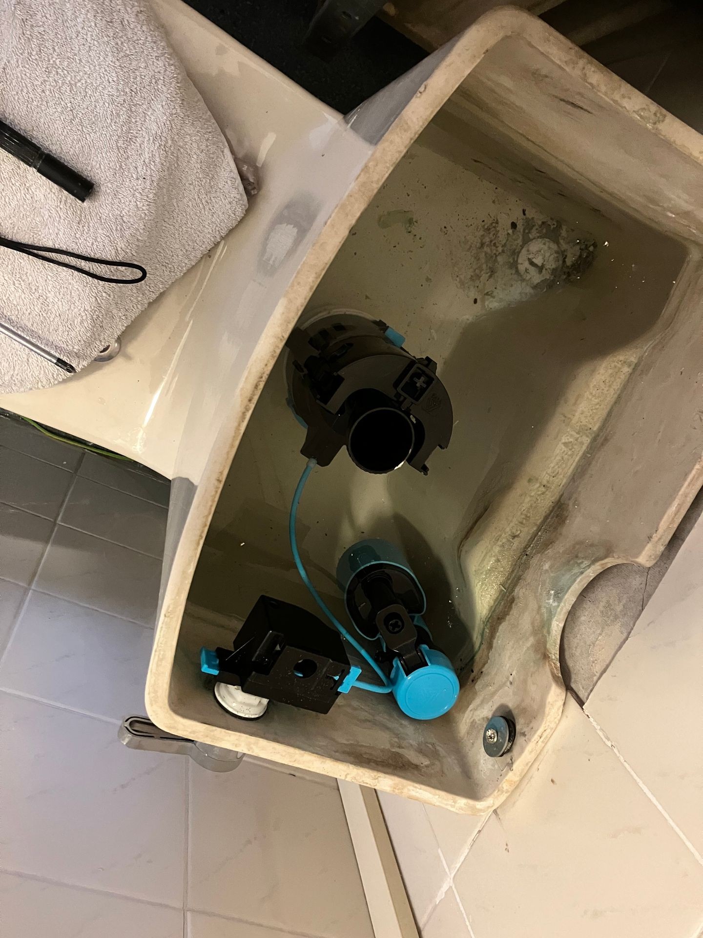 Toilet repairs